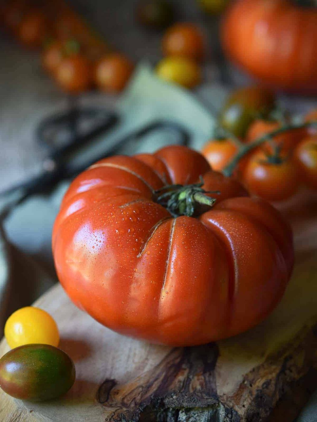 Close-up of a red heirloom tomato on a wood board with small tomatoes in the background.