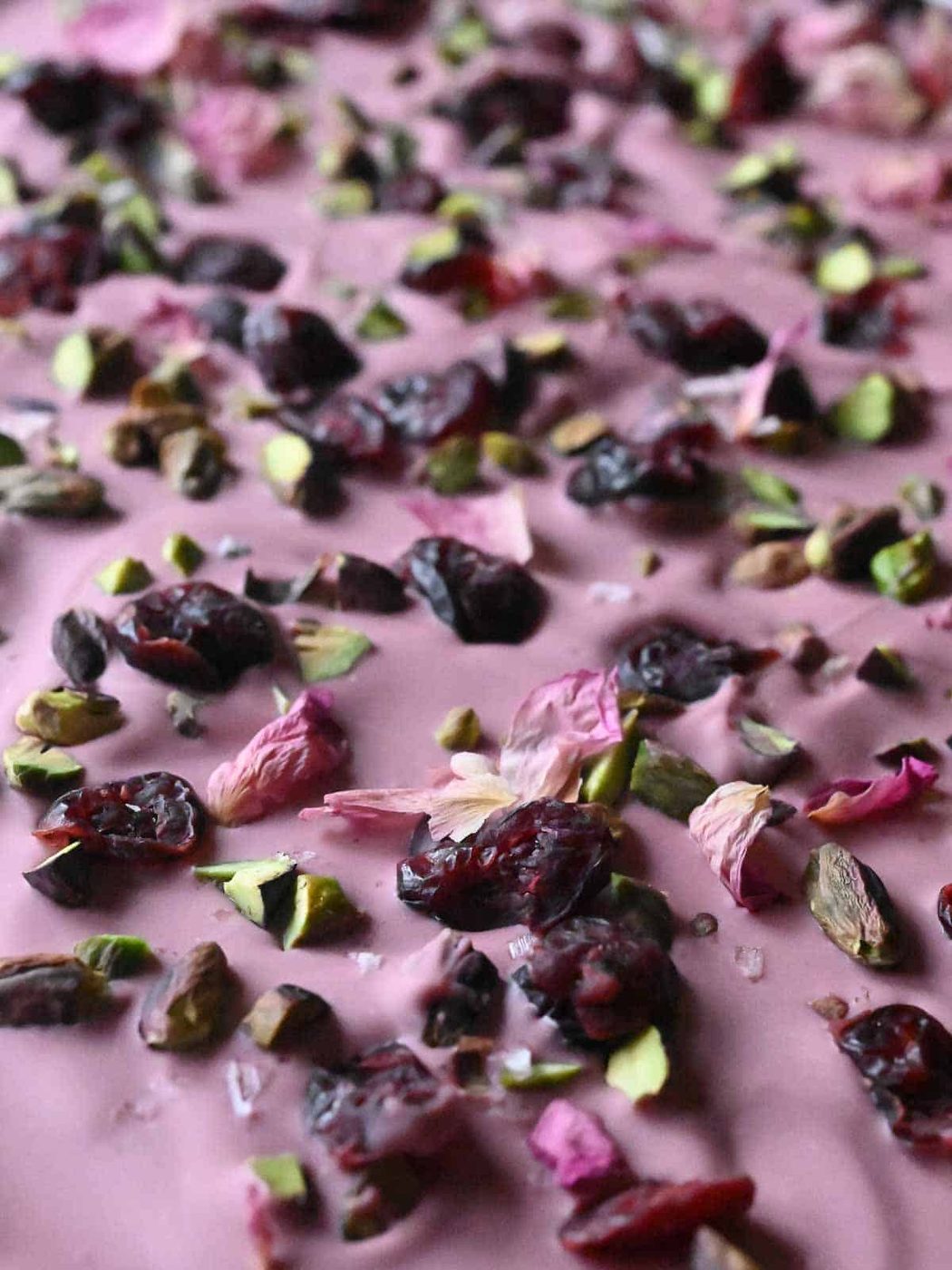 Close-up of ruby chocolate bark with rose petals and cranberries.