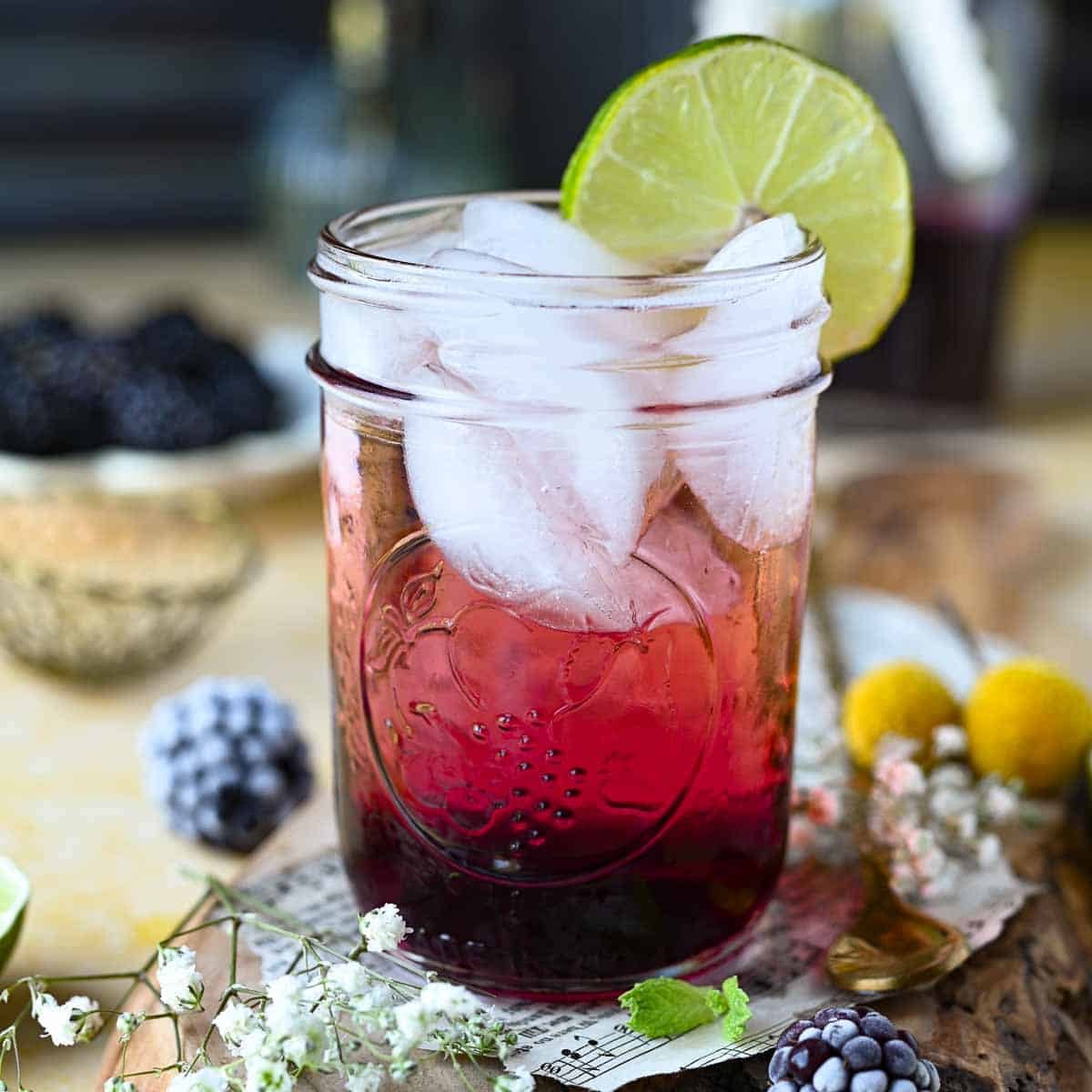 Sparkling Blackberry Soda