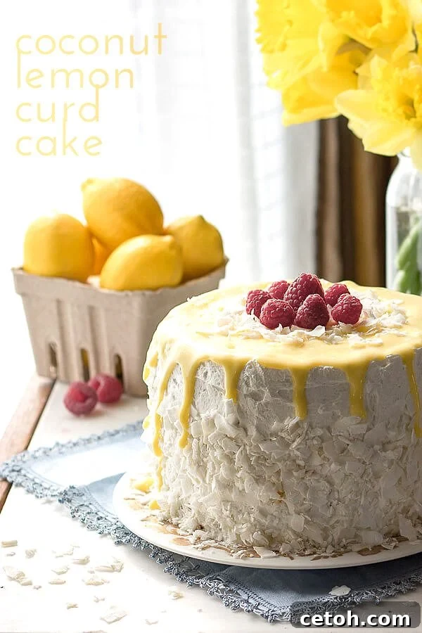 featured 13470