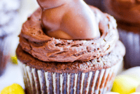 Cocoa Cottontail Cupcakes