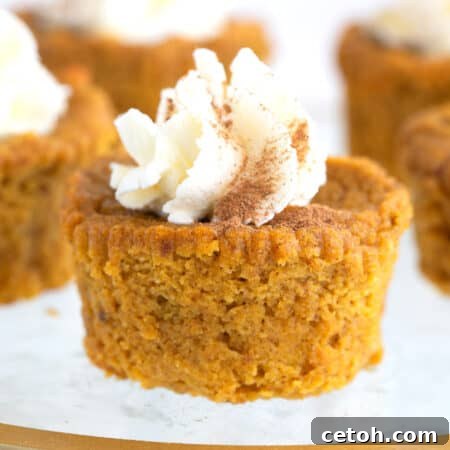 Close up shot of a keto pumpkin pie cupcake on a glass plate with a swirl of whipped cream on top, garnished with a sprinkle of pumpkin pie spice.