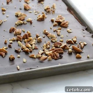 Low Carb Grain-Free Texas Sheet Cake Recipe