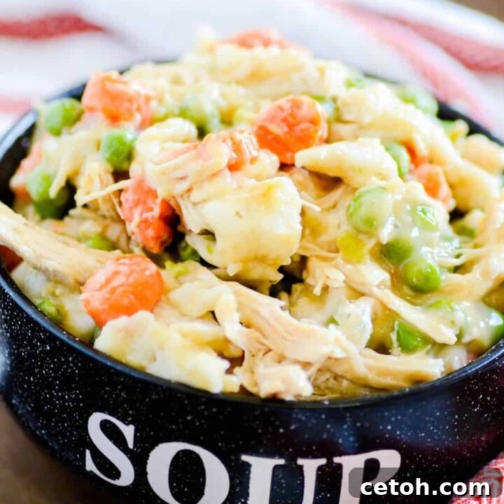 Instant Pot Chicken & Dumplings