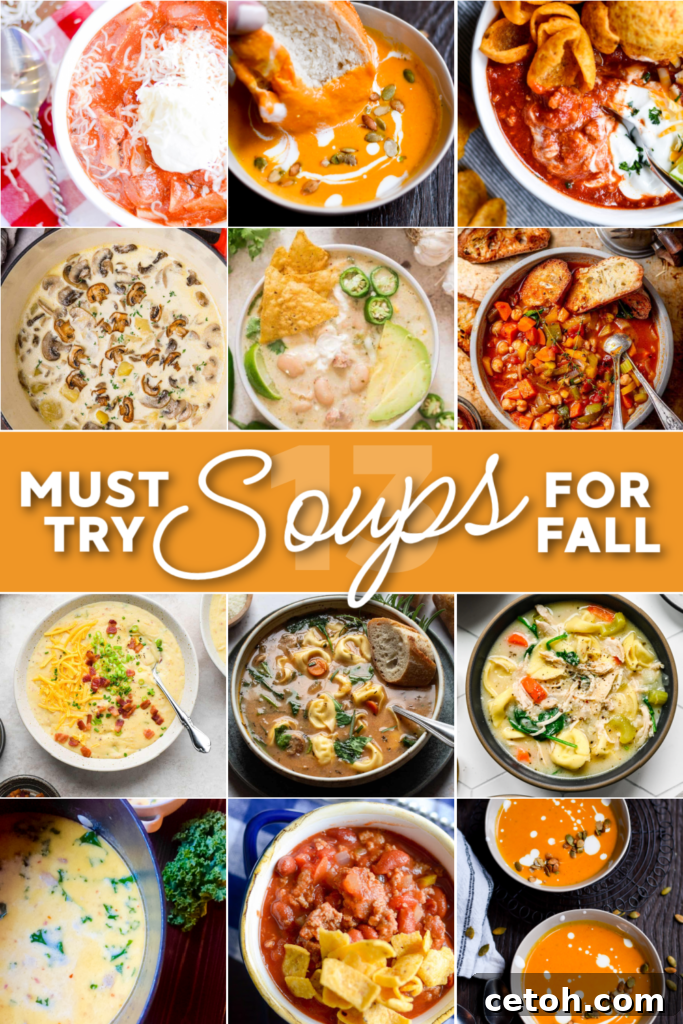 We've gathered 13 Must-Try Autumn Soup Recipes to make your fall dining cozy and delicious.