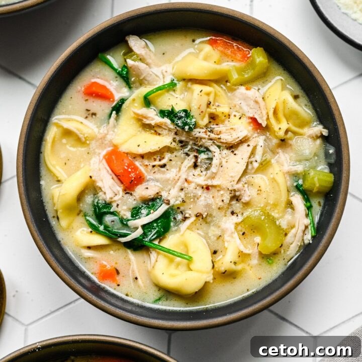 Easy Chicken Tortellini Soup, a nutritious and quick dinner.