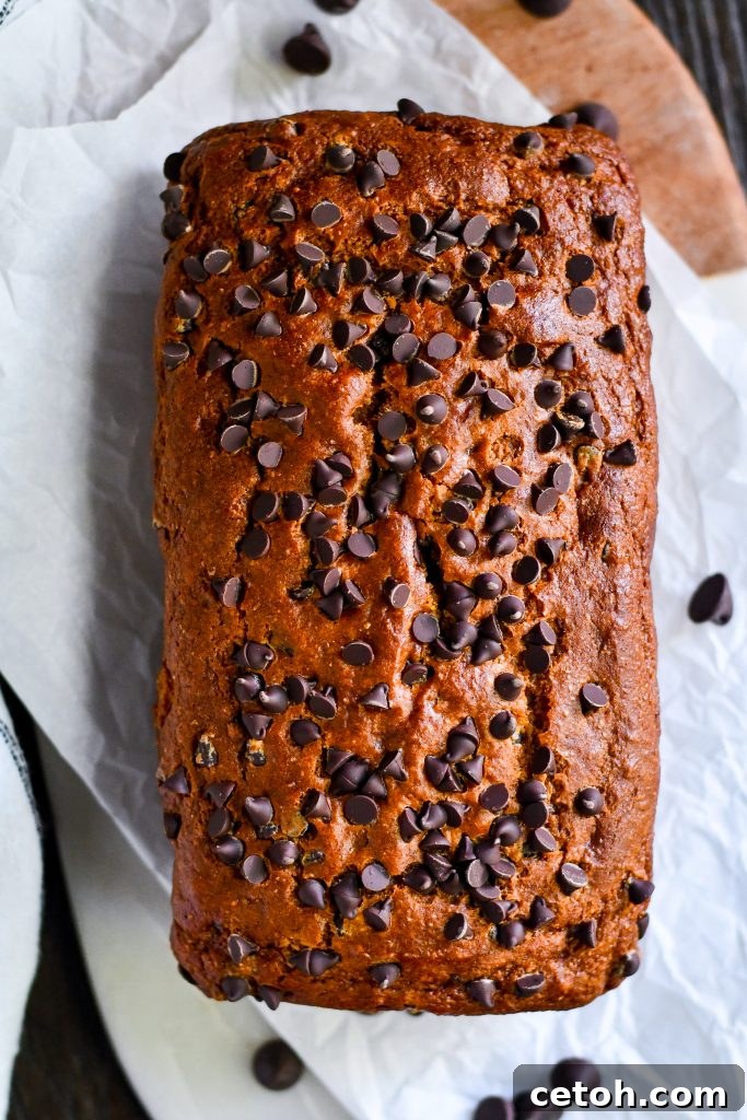 The coziest fall bake—soft pumpkin bread loaded with melty chocolate chips. Easy, moist, and perfect for breakfast or dessert.