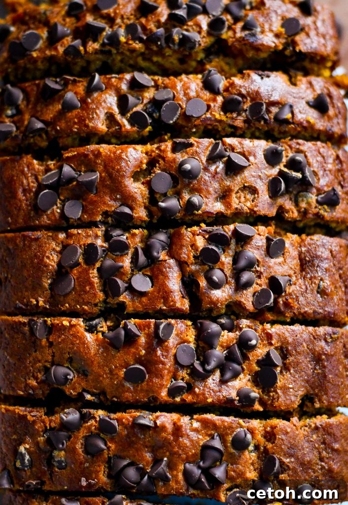 This pumpkin bread is perfectly spiced, rich with pumpkin, and packed with chocolate chips. A family favorite for fall!