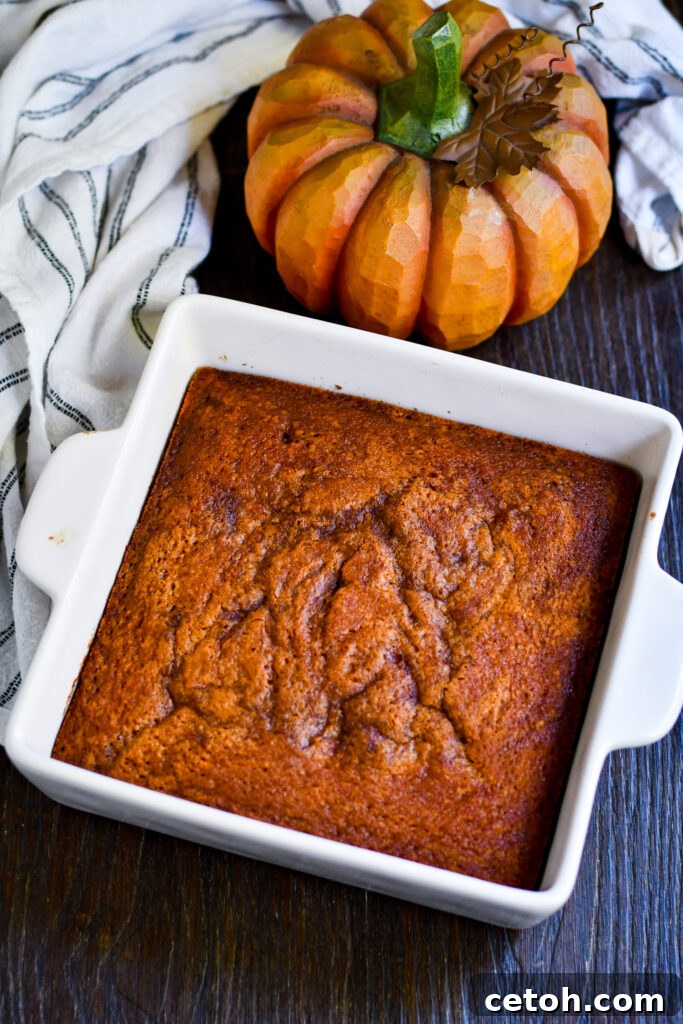 Looking for the perfect fall baking recipe? Try this Pumpkin Cinnamon Roll Cake – it’s soft, fluffy, and filled with warm, spiced flavors.
