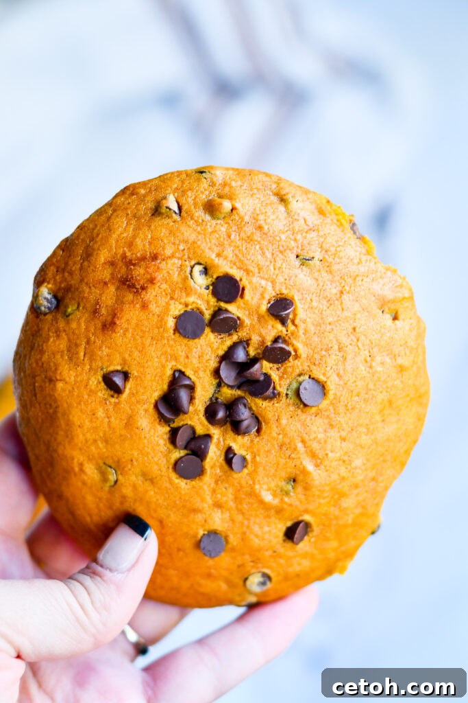 Delight in these soft, chewy giant pumpkin chocolate chip cookies, infused with rich fall flavors and perfect for any autumn occasion. 
