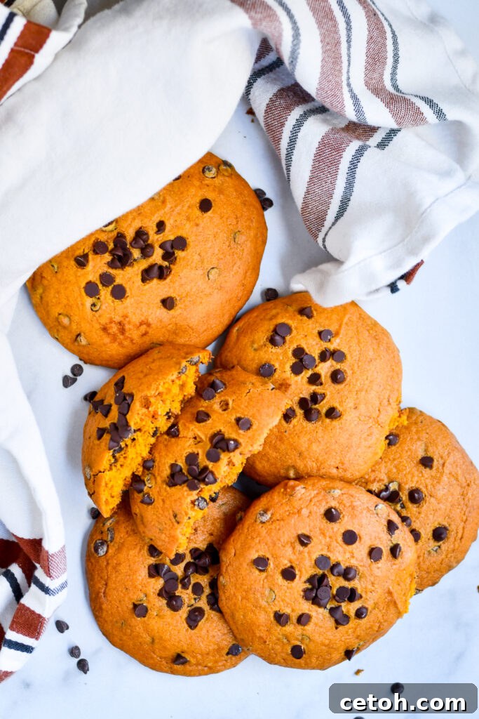 Try this easy giant pumpkin chocolate chip cookies recipe for a delicious autumn dessert, ready in about 30 minutes for a quick seasonal treat!