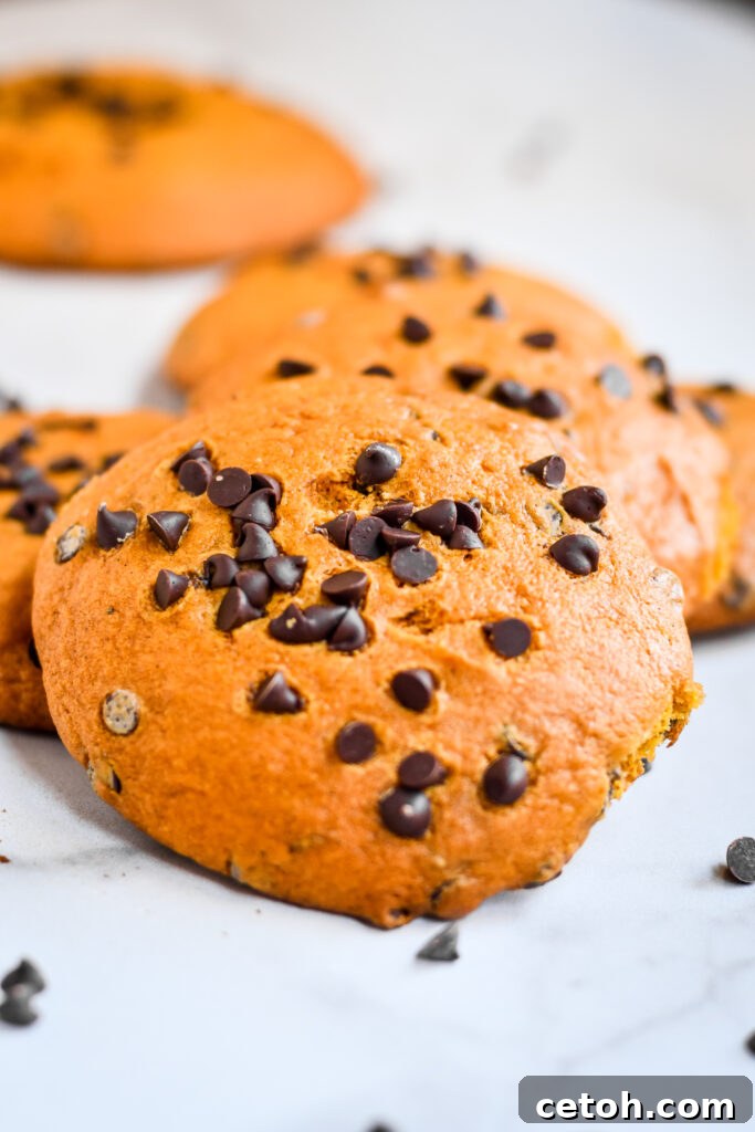 Elevate your fall baking with these irresistible pumpkin spice chocolate chip cookies, offering a perfect harmony of sweet and spicy notes.