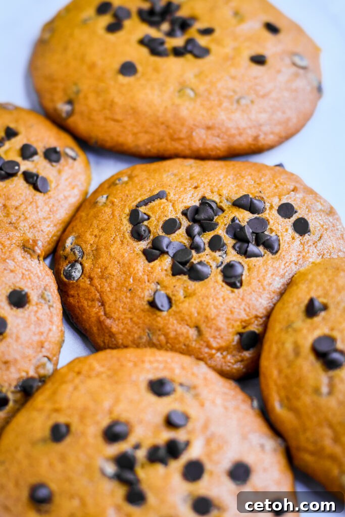 Don’t miss out on these delicious fall baking essentials! Indulge in our giant pumpkin chocolate chip cookies for a delightful seasonal treat.