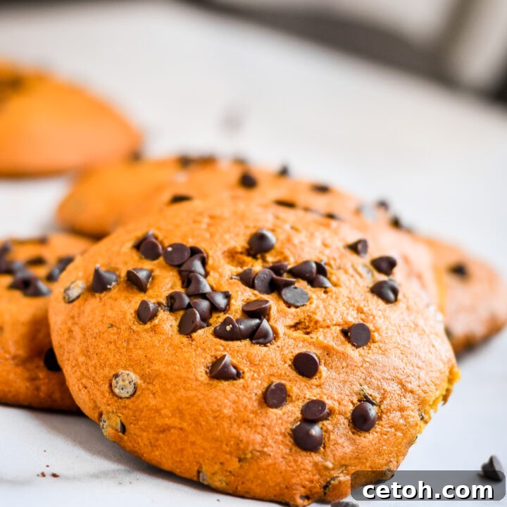 Discover the best giant pumpkin chocolate chip cookies recipe that’s soft, moist, and bursting with fall flavors.