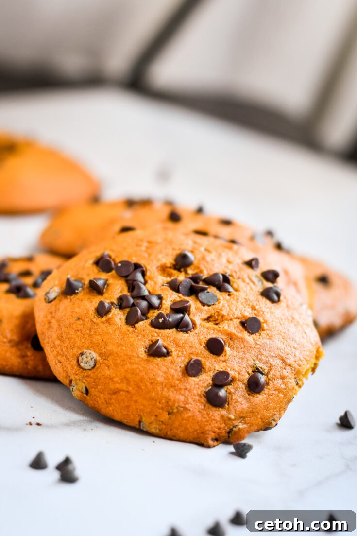 Giant pumpkin chocolate chip cookies, a perfect fall treat.