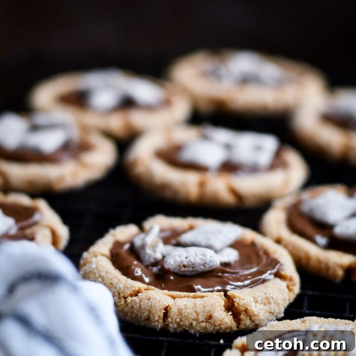 Touchdown Desserts: 15 Effortless Super Bowl Sweets 11 Delicious dairy-free Muddy Buddy Crumbl copycat cookies, featuring a soft cookie base with chocolate and peanut butter flavors, dusted with powdered sugar.