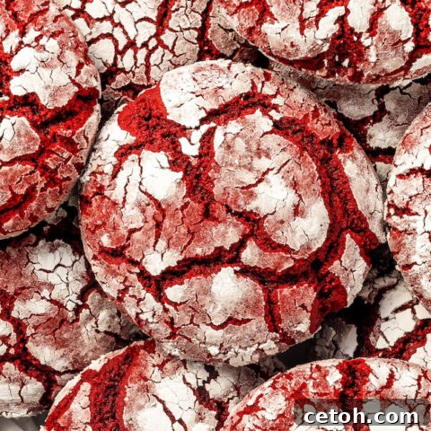 Red Velvet Crinkle Cookies