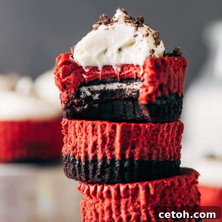 Mini Oreo Stuffed Red Velvet Brownie Cheesecakes