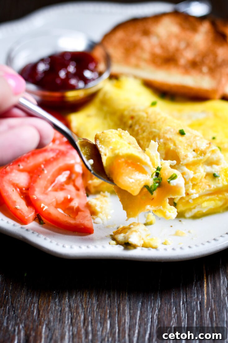Explore delicious omelette variations to elevate your breakfast with exciting flavors and ingredients.