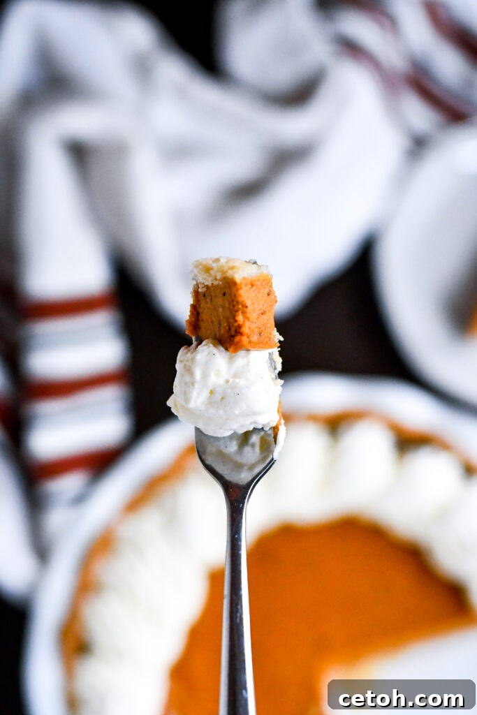 Homemade pumpkin pie has never been easier! This step-by-step guide will help you bake the perfect pie every time.