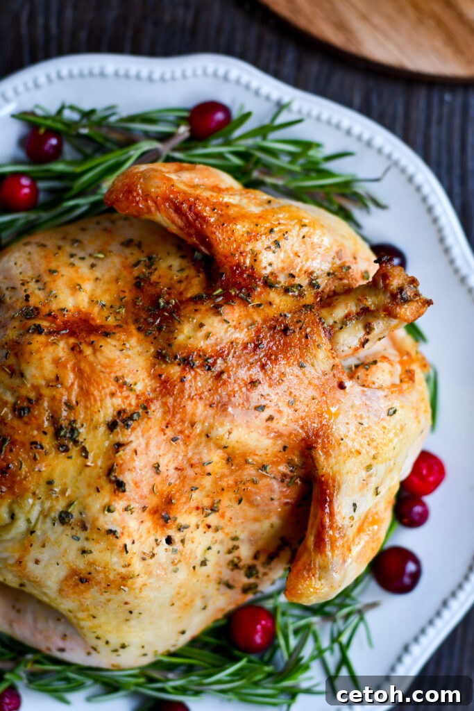 Effortless Cajun Brine for Your Perfect Thanksgiving Turkey 3 Elevate Your Holiday Meal with Cajun Turkey Brine - Easy and Delicious!
