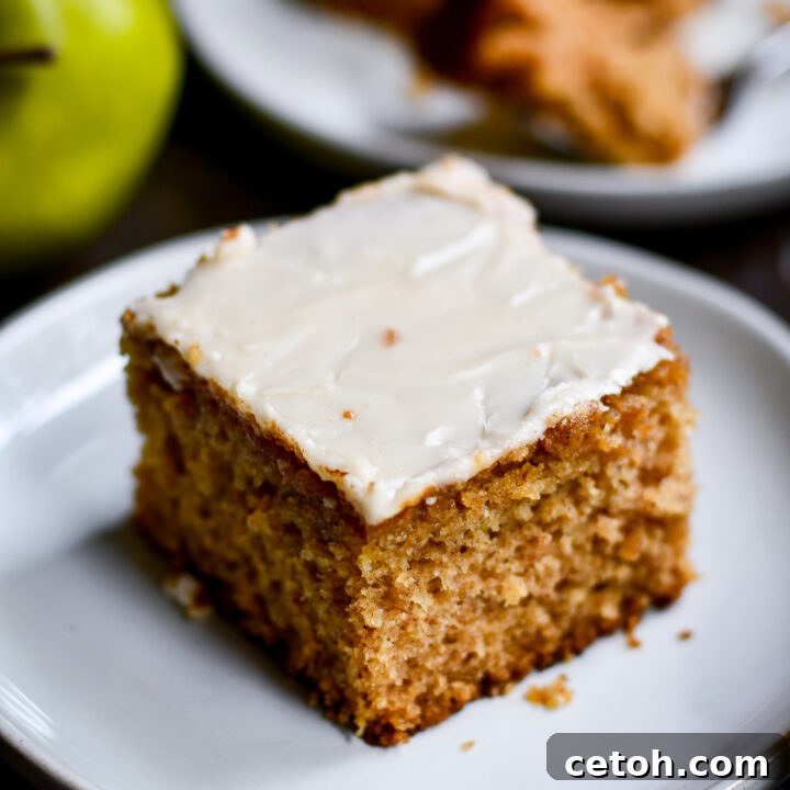 Try our easy homemade Applesauce Cake recipe, perfect for fall baking. Experience the warmth of cinnamon-spiced goodness with a touch of maple icing.