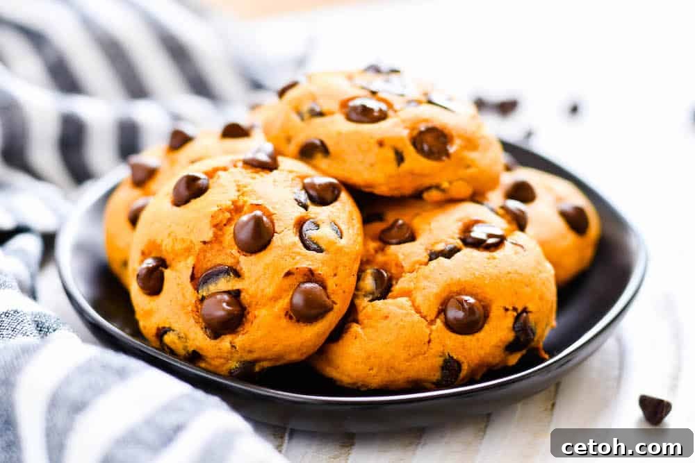 Soft and chewy pumpkin chocolate chip cookies made with a simple 2-ingredient cake mix base.