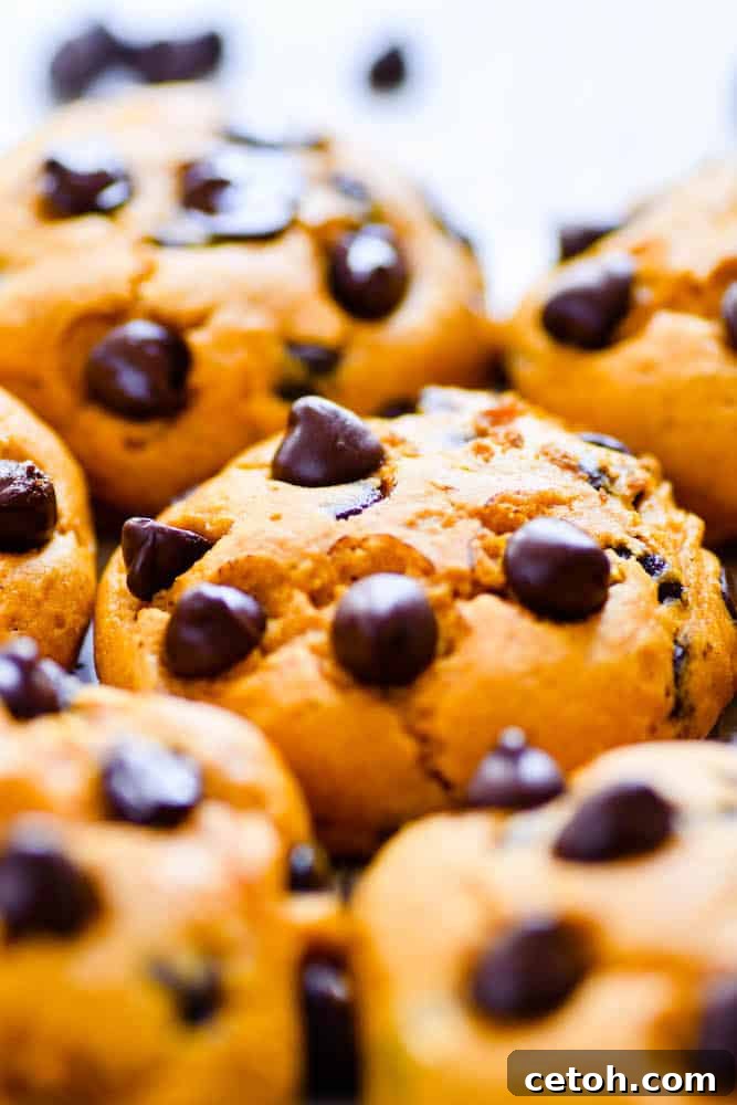 A stack of delicious pumpkin chocolate chip cookies, ready to be enjoyed.