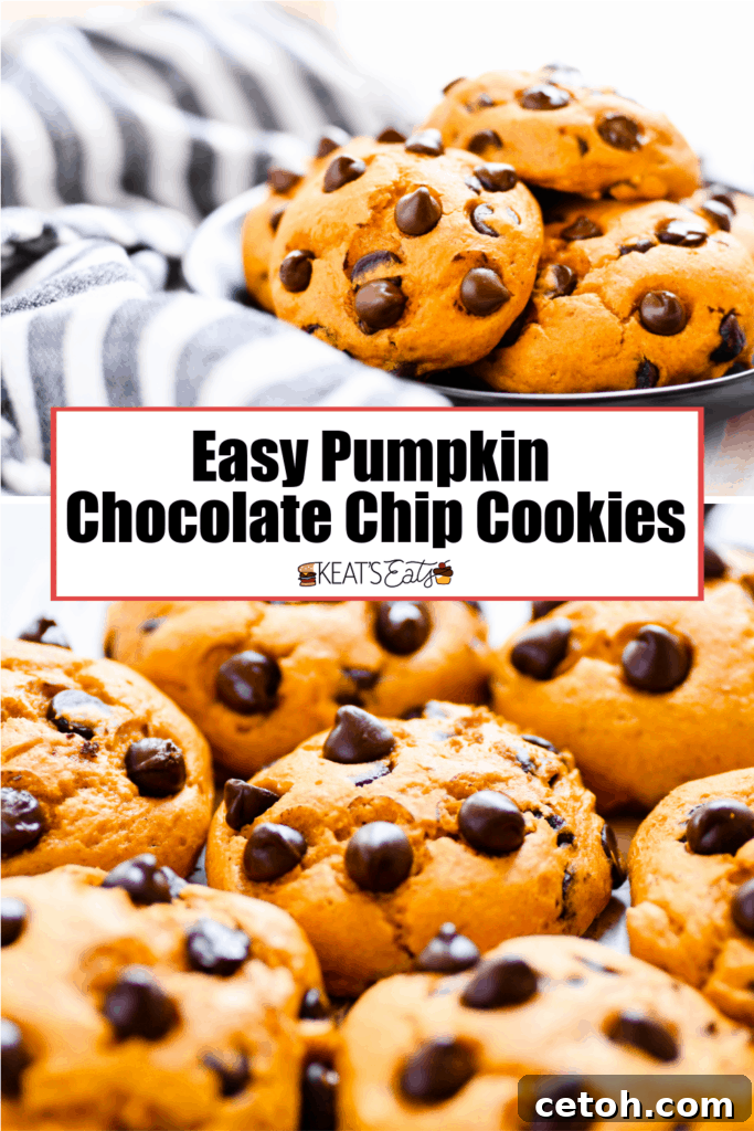 Pin this recipe: Easy 2 or 3 Ingredient Pumpkin Chocolate Chip Cookies for quick fall baking.