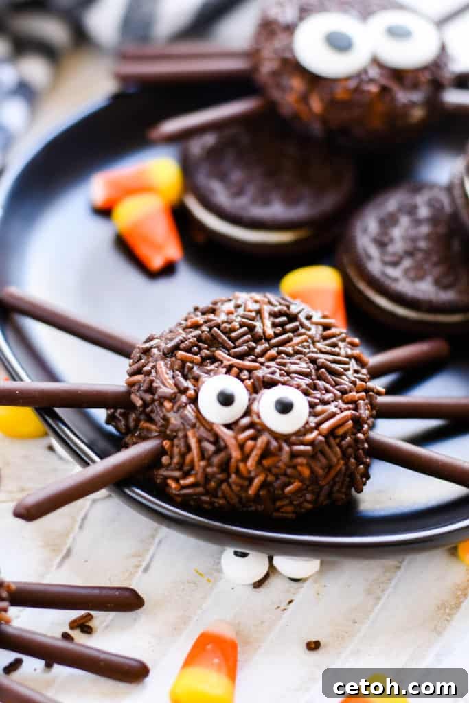 Spooky Simple Spider Sweets 5 Several easy Halloween spider cookies arranged on a white platter, ready for a party.