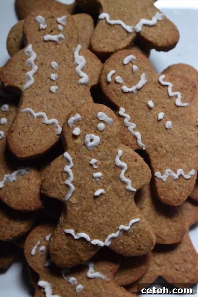 Spiced Keto Gingerbread Delights 2 Delicious Keto Gingerbread Christmas cookies perfectly decorated for the holidays.