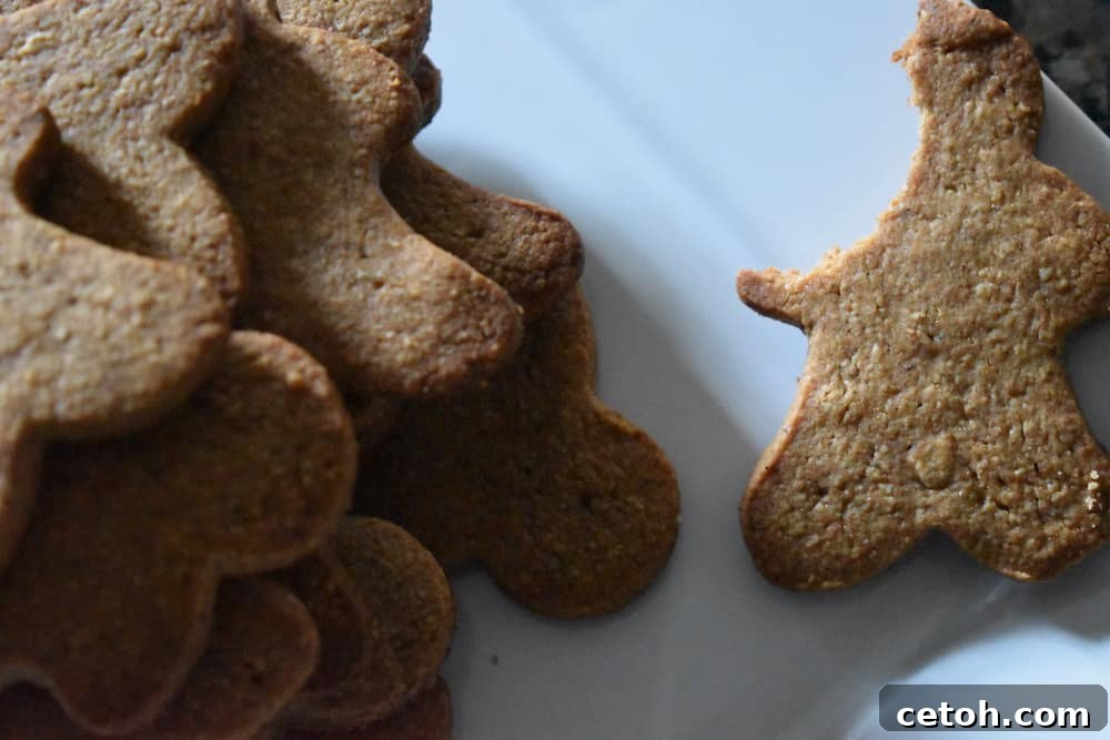 Spiced Keto Gingerbread Delights 4 Close-up of frosted Keto Gingerbread Cookies with intricate decorations.