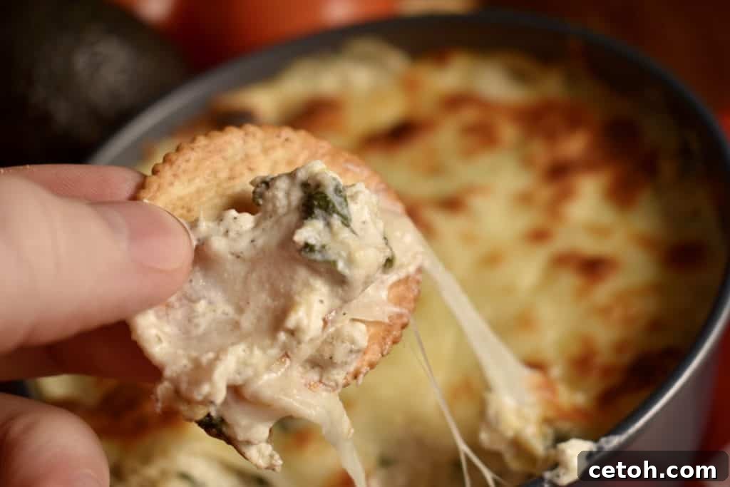 Cracker dipped into a bowl of creamy spinach artichoke dip