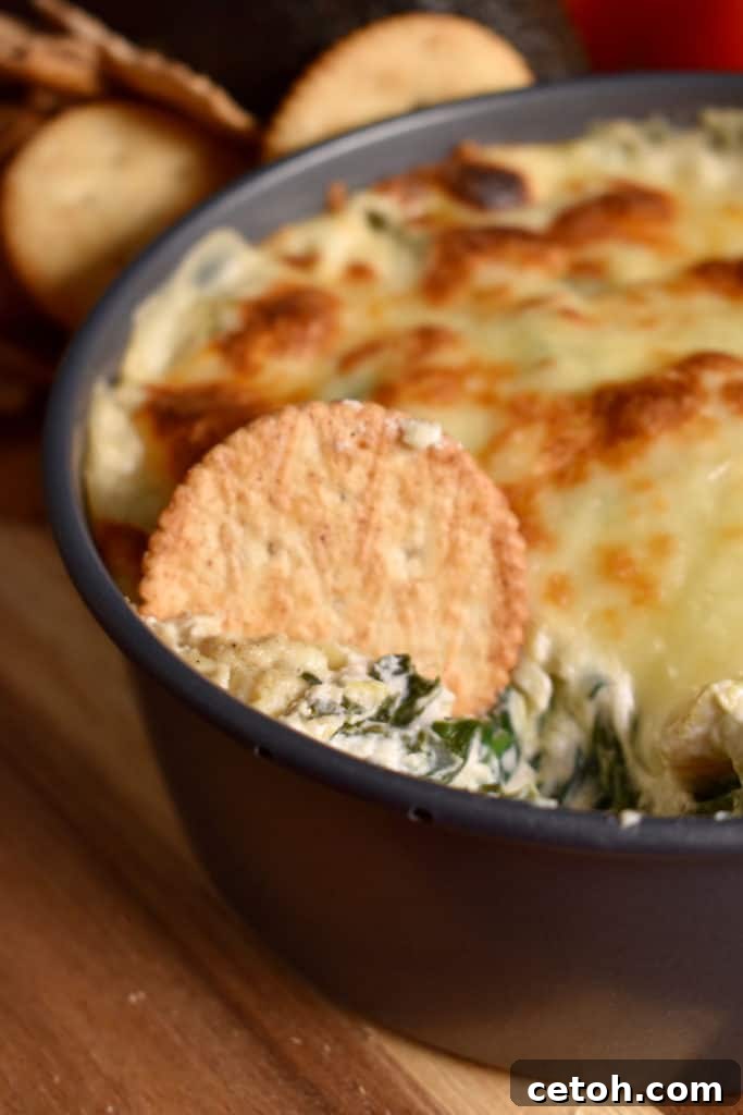 Spinach artichoke dip in a baking dish with a cracker poised for dipping