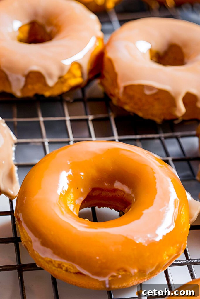 These soft and spiced pumpkin donuts with a decadent salted caramel glaze are the ultimate fall dessert. Easy to make and even easier to enjoy, bringing the best of autumn flavors to your table.