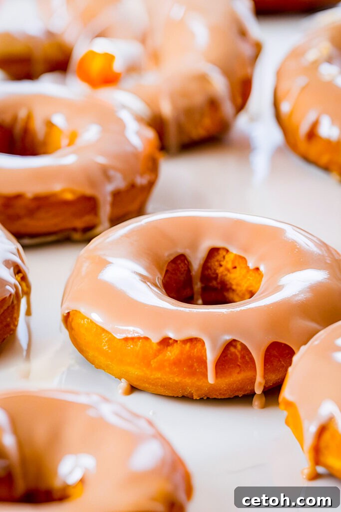 Take your fall baking to the next level with these pumpkin donuts topped with a salted caramel glaze. A delicious blend of sweet and salty creates an irresistible autumn treat!
