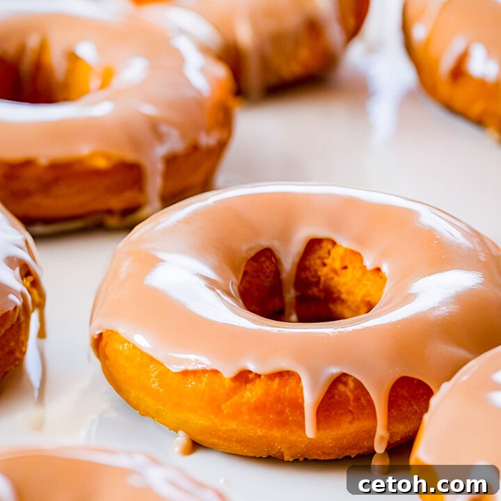 Take your fall baking to the next level with these pumpkin donuts topped with a salted caramel glaze. A delicious blend of sweet and salty!