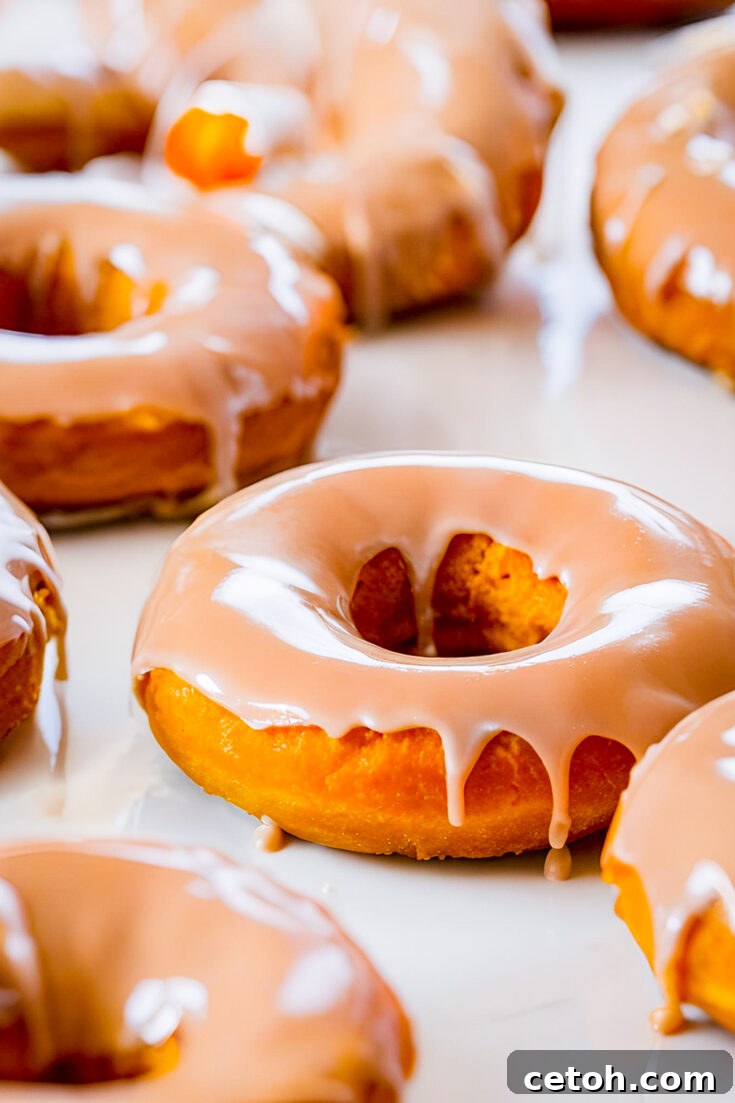 Best homemade pumpkin donuts with salted caramel glaze for fall