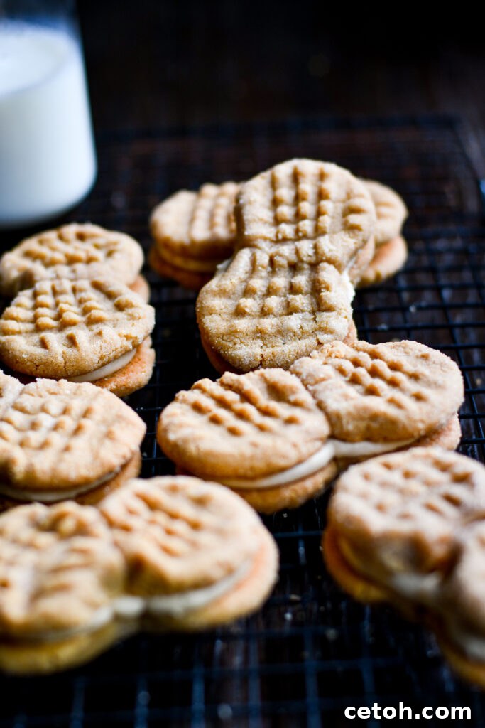 Indulge in a classic peanut butter cookies sandwich recipe - perfect for satisfying your sweet cravings!