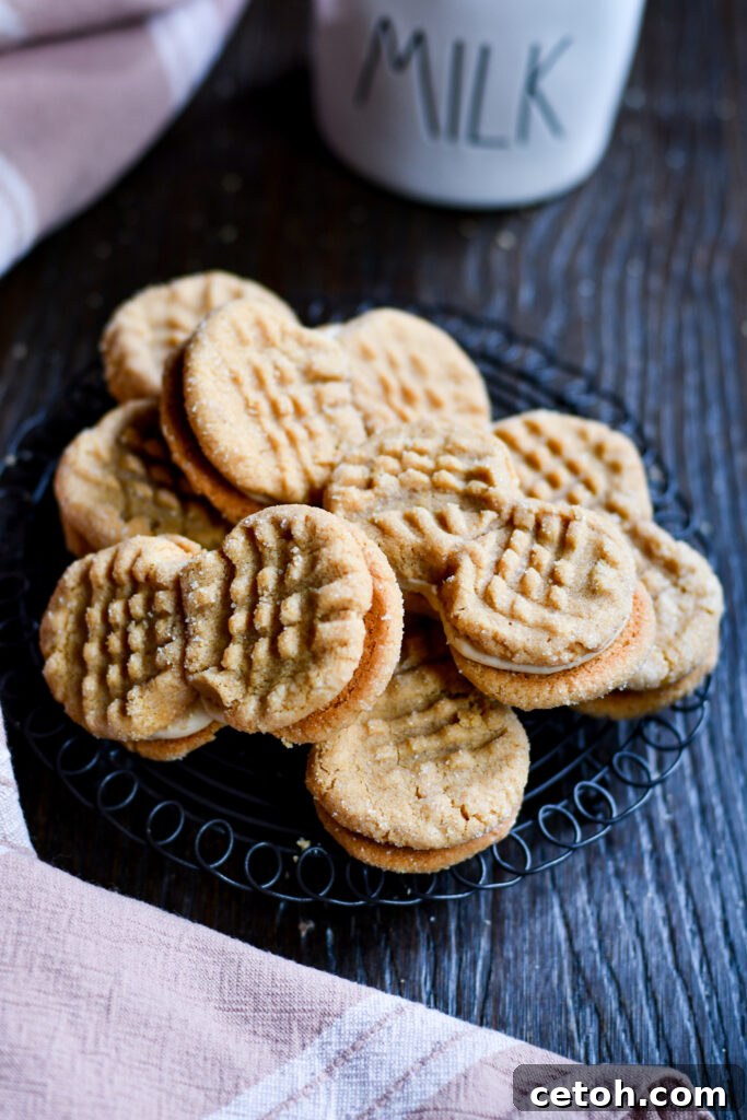 Upgrade your cookie game with our peanut butter cookies sandwich recipe – a crowd-pleasing classic.