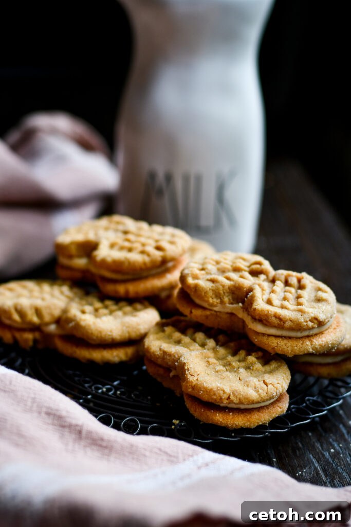 Upgrade your cookie game with our peanut butter cookies sandwich recipe – a crowd-pleasing classic.