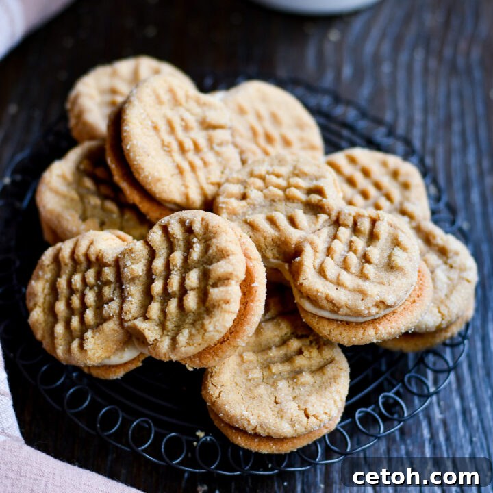 Upgrade your cookie game with our peanut butter cookies sandwich recipe – a crowd-pleasing classic.
