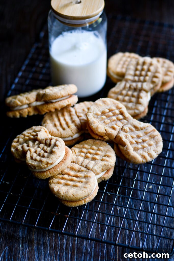 Discover the joy of homemade peanut butter cookies sandwich recipe – a delightful treat for all ages.