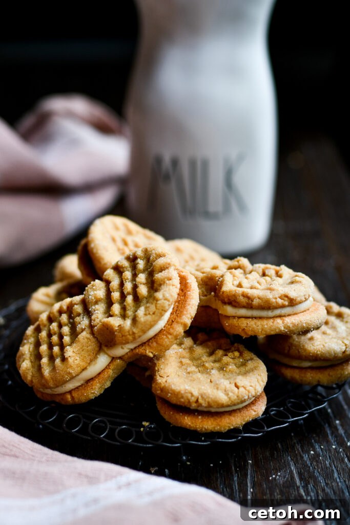 Make your kitchen smell heavenly with our peanut butter cookies sandwich recipe – easy and delicious!