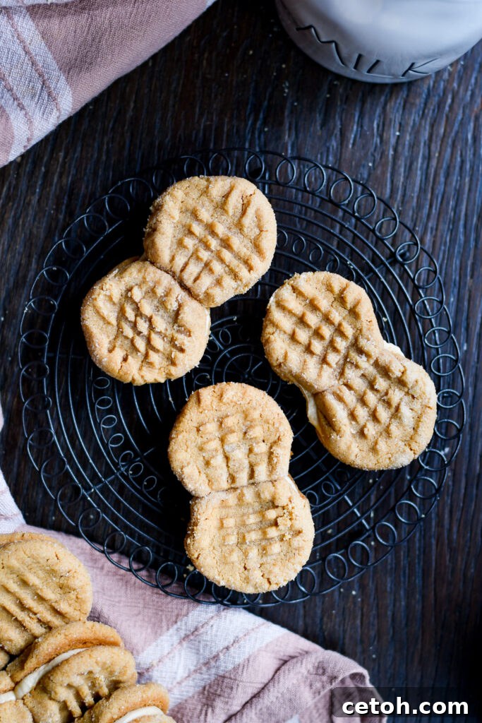 Create a comforting snack with our peanut butter cookies sandwich recipe – a timeless favorite.
