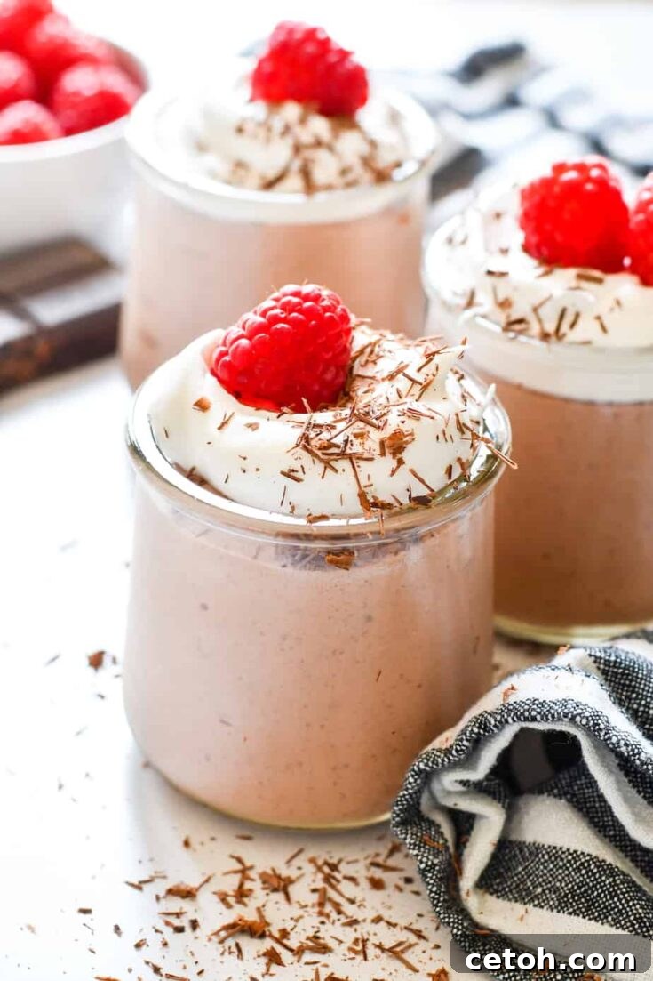 High Protein Pudding Recipe