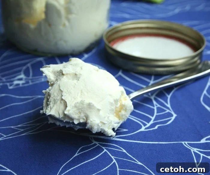 Homemade Cream Cheese @dreamaboutfood Homemade Cream Cheese - Fresh and Creamy
