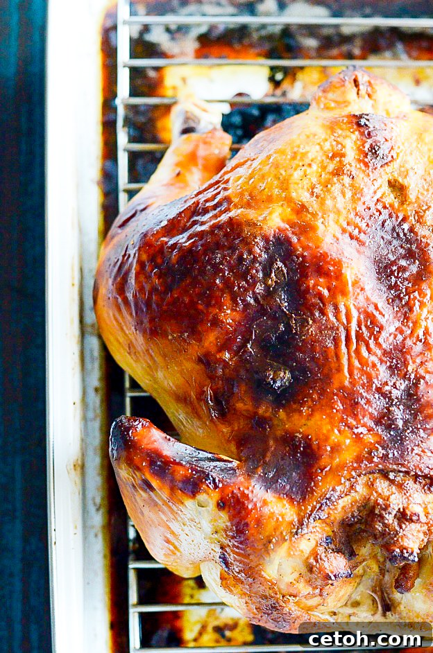 Effortless Brining for the Ultimate Juicy Turkey 2 Master the art of juicy turkey with our easy brine recipe! Get ready to impress at your next feast.