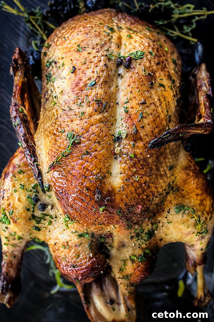 Effortless Brining for the Ultimate Juicy Turkey 4 Cooking a turkey? Don't miss our no-fuss brine recipe – the secret to a delicious bird.