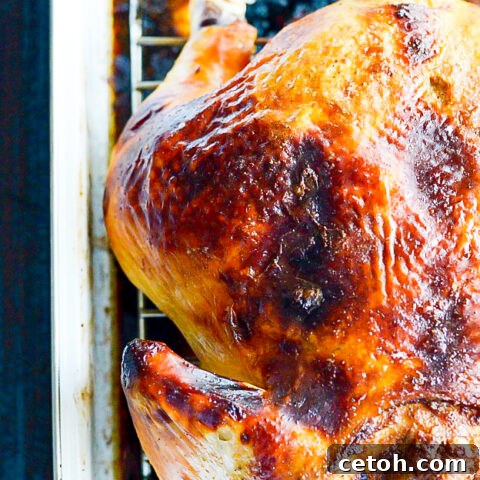 Master the art of juicy turkey with our easy brine recipe! Get ready to impress at your next feast.